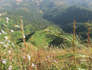 View From Chor Darwaja